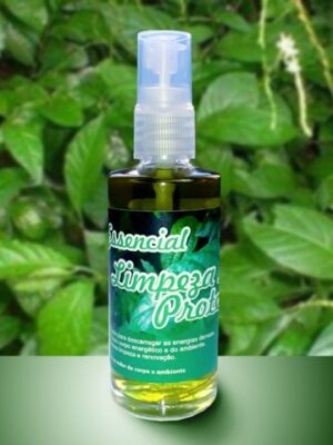 Spray Limpeza e Protecao Spray Limpeza e Proteção